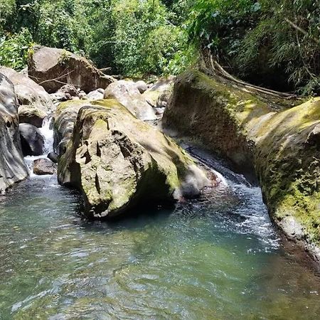 Maison La Voute Plage A 50M Et Riviere A Proximite Vieux-Habitants Kültér fotó