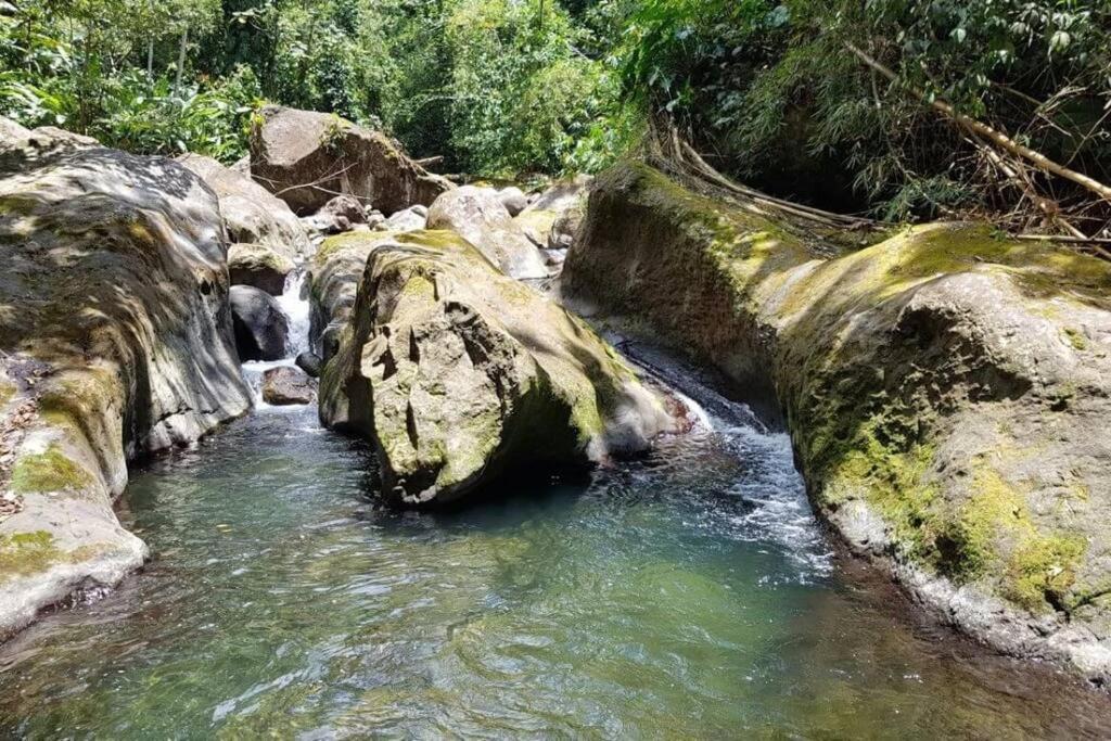 Maison La Voute Plage A 50M Et Riviere A Proximite Vieux-Habitants Kültér fotó